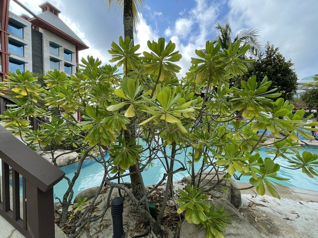 Resort greenery