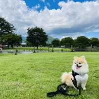 ペットと子供連れに優しい軽井沢アウトレット