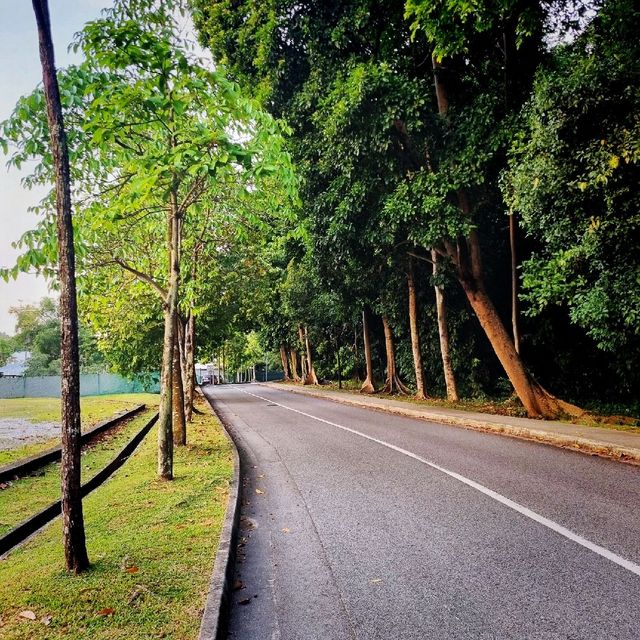 Scenic Park Down SouthWest Of Singapore