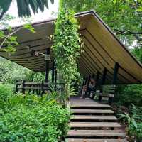 Ethnobotany Gardens Singapore 