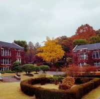 Yonsei University colours of fall
