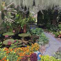 Garden design competition in Botanic Garden
