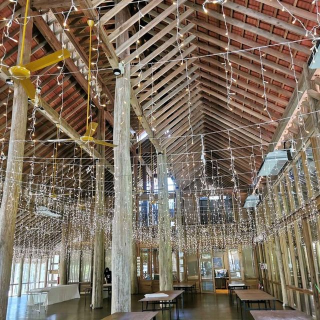 云顶山脚大自然松树林喝咖啡 Pineyard Cafe