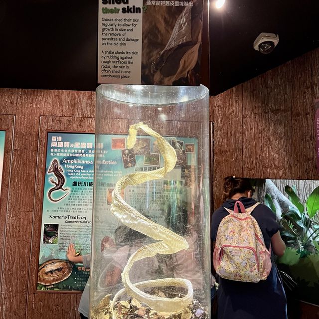 同小朋友去睇動物🤓