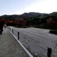 世界文化遺産【天龍寺】✨