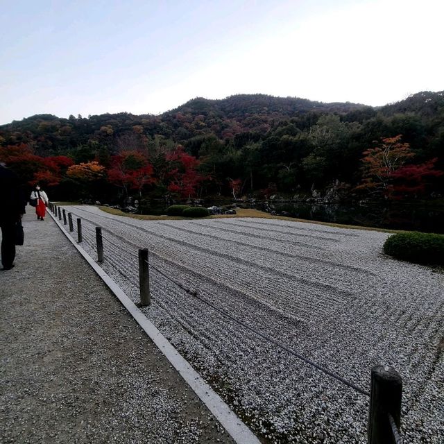 世界文化遺産【天龍寺】✨