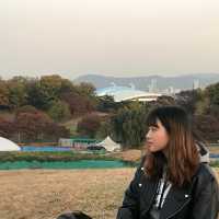올림픽공원에서 단풍 즐기기🍁🍂