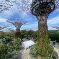 Best travel place, “Garden by the bay”