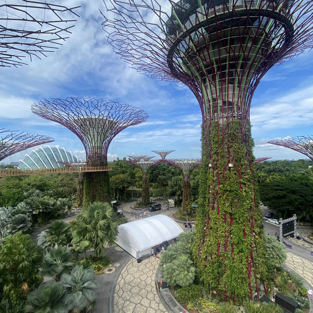 Best travel place, “Garden by the bay”