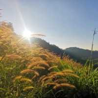 Stay Doi Mae Tang, Chiang Mai 