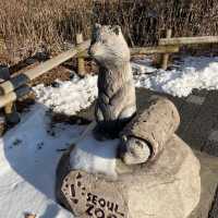 冬日白雪雪首爾動物園🫶🏻🫶🏻不一樣的體驗🤲🏻🙈