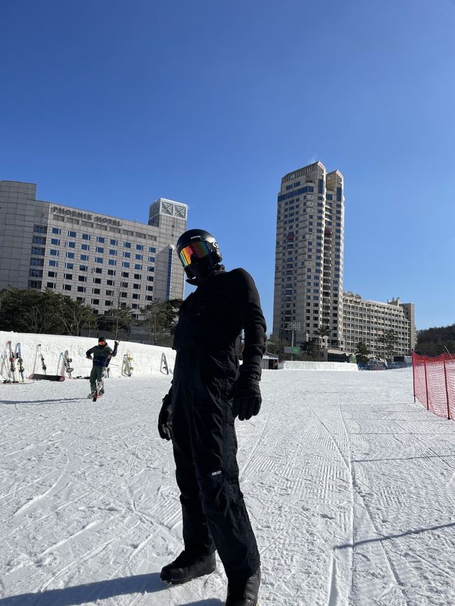 식사까지 올패스 휘닉스파크 평창 스노우파크🏂🏂