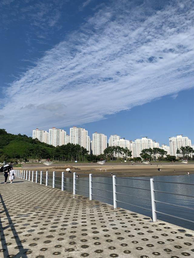 여수 섬 여행 추천 :: 아름다운 예술의 섬 장도🌊