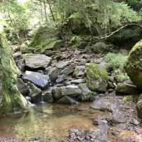 夏の赤岳