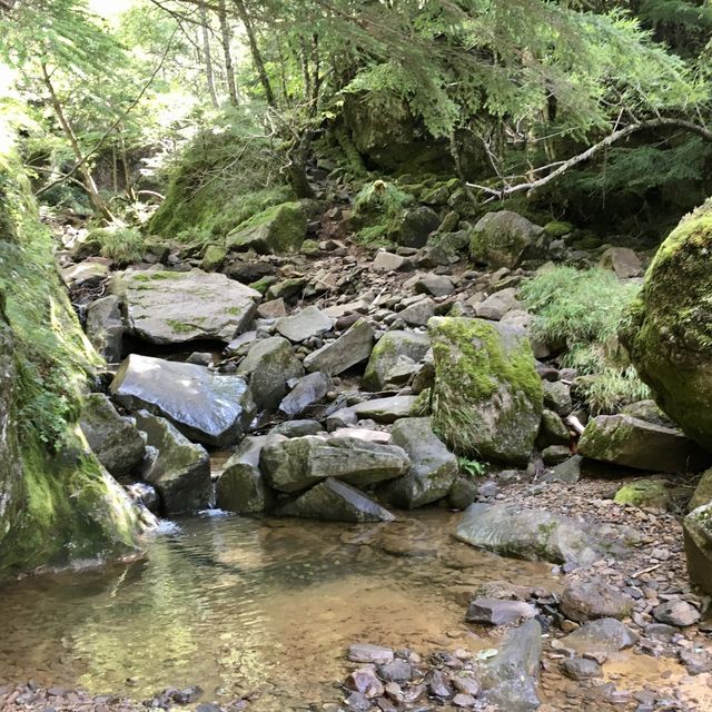 夏の赤岳