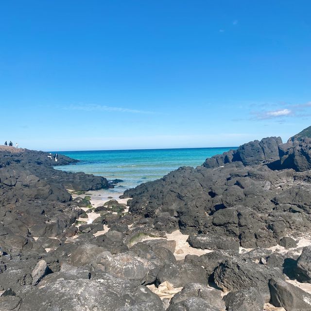 제주도 바다 맛집, 함덕해수욕장👍🏻💙