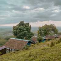 ภูเขาหมอกเขาศูนย์แคมป์ รับลมหนาว ชมทะเลหมอก