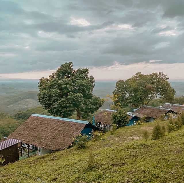 ภูเขาหมอกเขาศูนย์แคมป์ รับลมหนาว ชมทะเลหมอก
