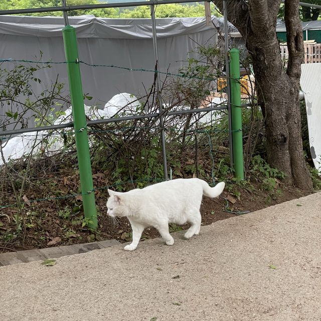 수암봉 : 등산말고 백패킹!