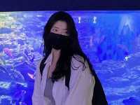 부산 해운대 씨라이프 아쿠아리움 
