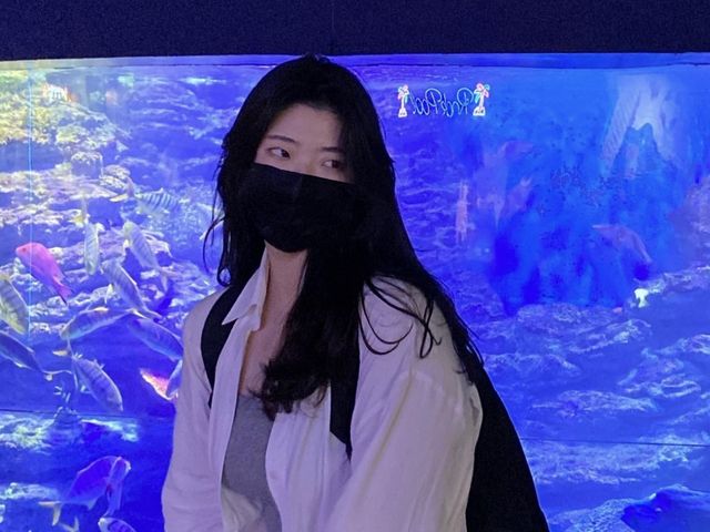 부산 해운대 씨라이프 아쿠아리움 