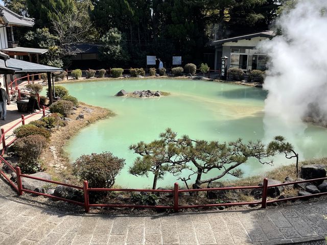 別府地獄巡り♨️