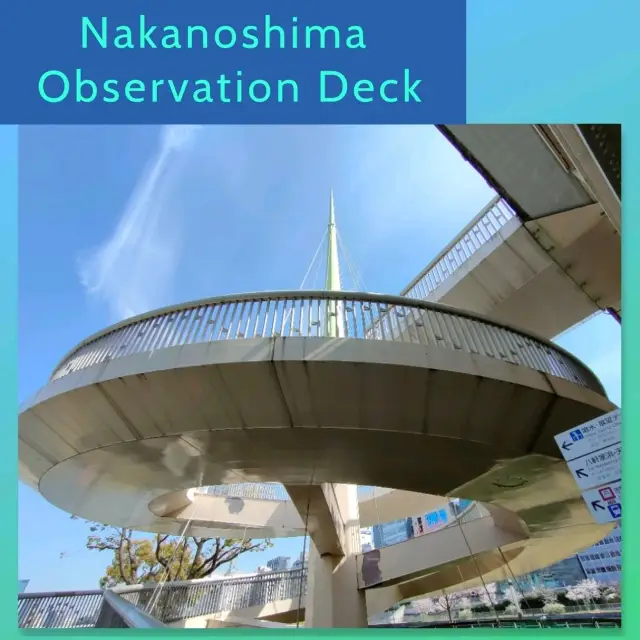 【大阪 中之島展望デッキ】サクラ咲く公園で宇宙船？✨