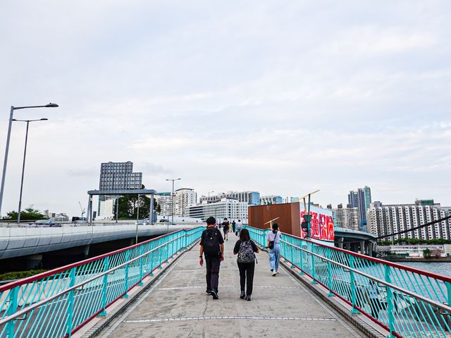 最佳景色