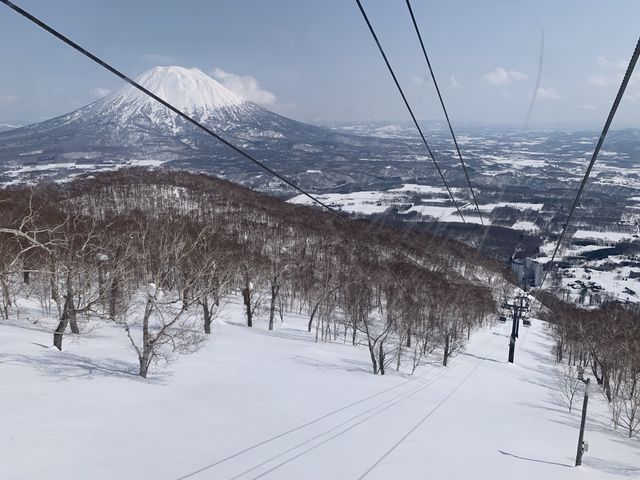 広いコースでパウダースノーを満喫！