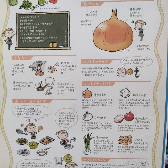 【兵庫　淡路島】産直野菜はその日の採れたて新鮮🌟🌟