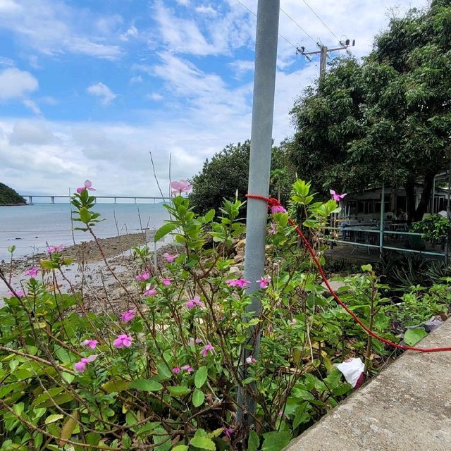 離島好去處 ～ 好景士多 