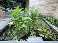 Equarius Hotel gardens