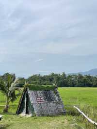 Little Tea Farm @ Balik Pulau, Penang