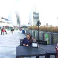 Juhai and Shenzen, China 
