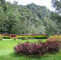 The Smokehouse Hotel Cameron Highlands 
