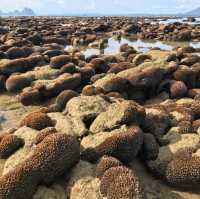 เกาะมุก ตรัง