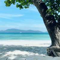 Coral Beach Phuket Thailand 