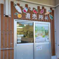 【奄美大島】直売所