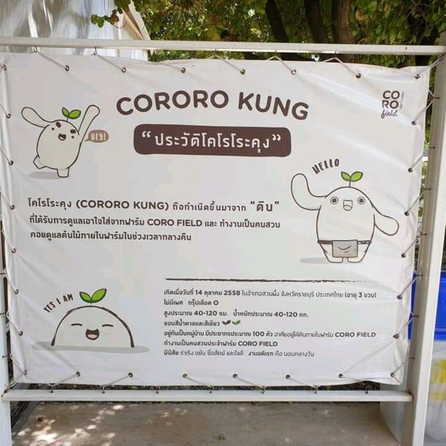 Coro Field ฟาร์มสไตล์ญี่ปุ่นแห่งสวนผึ้ง