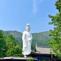 洗滌心靈@慈山寺