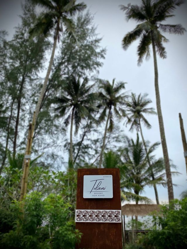 บรรยากาศดีอย่างแท้ทรู กับหาดสวยเกิดใหม่ที่เกาะกูด