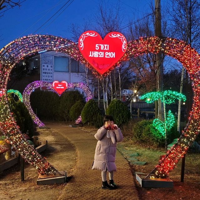 빛축제가 열리는 파주 프로방스마을💕
