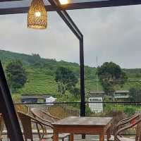 the ranch Cikole