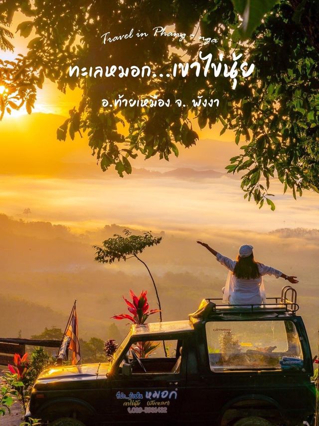 จุดชมวิวทะเลหมอกในตอนเช้า