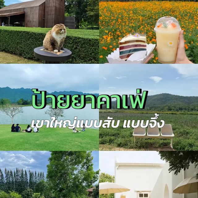 ป้ายยาคาเฟ่ เขาใหญ่แบบสับแบบจึ้ง 🥕☁️