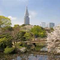 Shinjuku Grown National Park