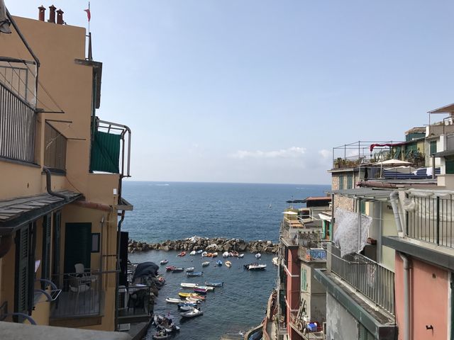 Hiking 🥾 in Cinque Terre ~ Liguria  