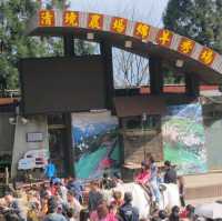 baa baa white in taiwan