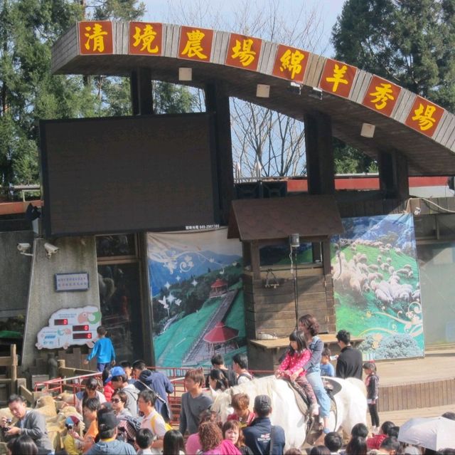 baa baa white in taiwan