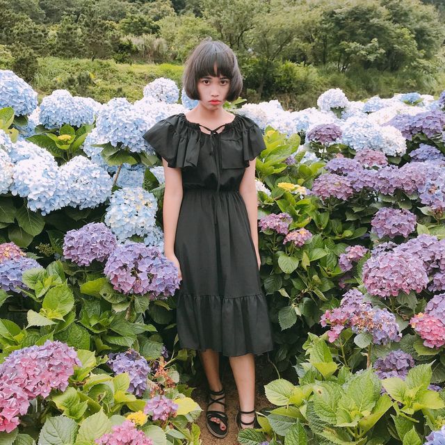 陽明山花季